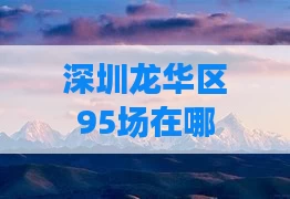 深圳龙华区95场在哪