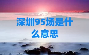 深圳95场是什么意思