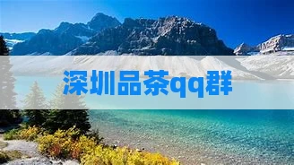 深圳品茶qq群