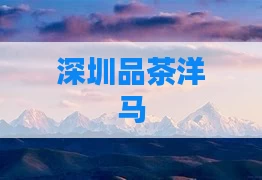 深圳品茶洋马