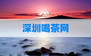 深圳喝茶网