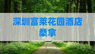 深圳富莱花园酒店桑拿