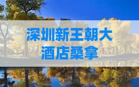 深圳新王朝大酒店桑拿