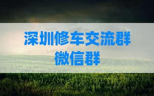 深圳修车交流群微信群