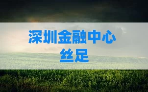 深圳金融中心 丝足