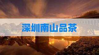 深圳南山品茶