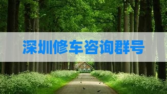深圳修车咨询群号