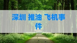 深圳 推油 飞机事件