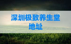 深圳极致养生堂地址