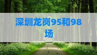 深圳龙岗95和98场