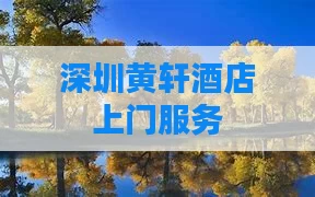 深圳黄轩酒店上门服务