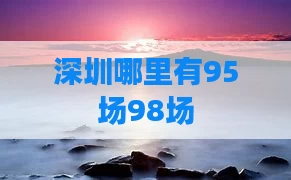 深圳哪里有95场98场