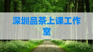 深圳品茶上课工作室