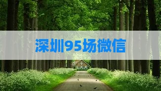 深圳95场微信