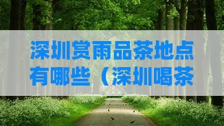 深圳赏雨品茶地点有哪些（深圳喝茶地方）