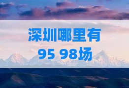 深圳哪里有95 98场