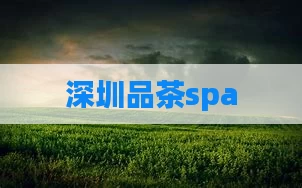 深圳品茶spa