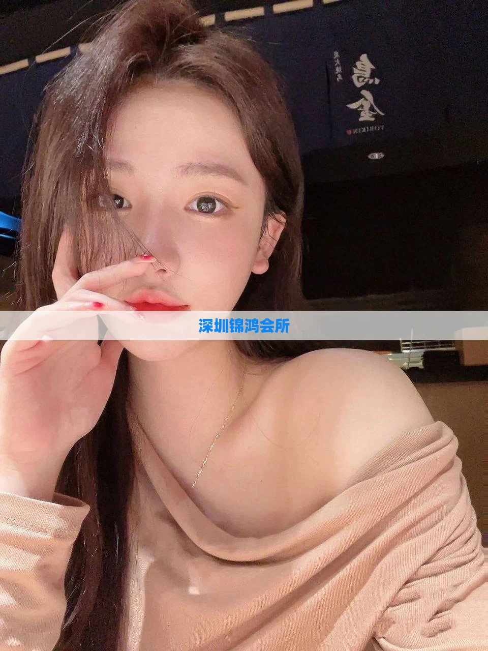 深圳锦鸿会所