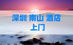 深圳 南山 酒店 上门