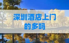 深圳酒店上门的多吗