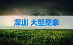 深圳 大型桑拿