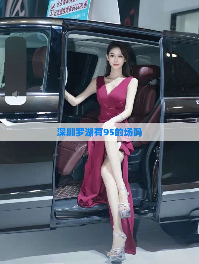 深圳罗湖有95的场吗