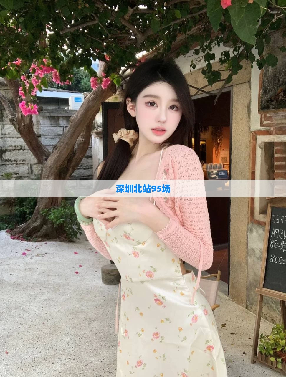 深圳北站95场
