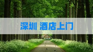 深圳 酒店上门