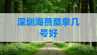 深圳海燕桑拿几号好