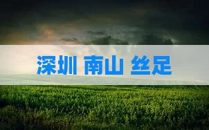深圳 南山 丝足