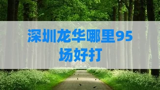 深圳龙华哪里95场好打