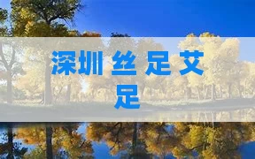 深圳 丝 足 艾足