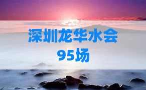 深圳龙华水会95场