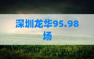 深圳龙华95.98场