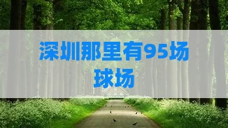 深圳那里有95场球场