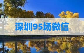 深圳95场微信