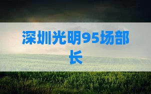 深圳光明95场部长