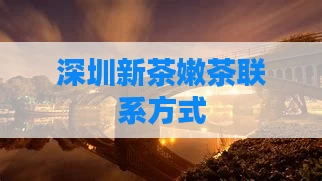 深圳新茶嫩茶联系方式