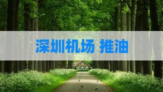 深圳机场 推油