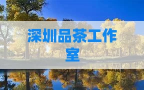 深圳品茶工作室