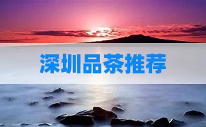 深圳品茶推荐