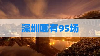 深圳哪有95场