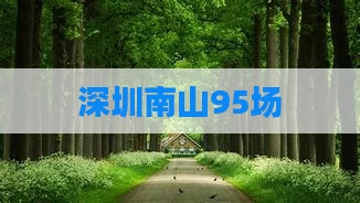 深圳南山95场