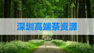 深圳高端茶资源