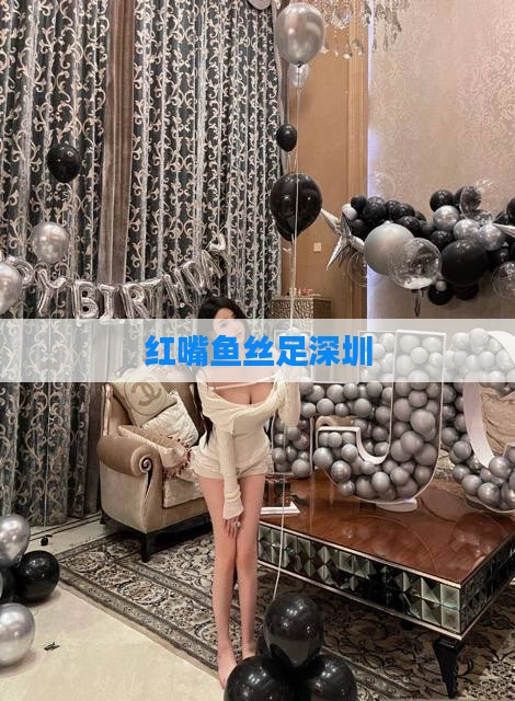红嘴鱼丝足深圳