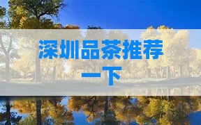 深圳品茶推荐一下