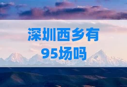 深圳西乡有95场吗