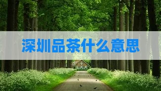 深圳品茶什么意思