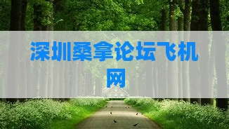 深圳桑拿论坛飞机网