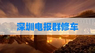 深圳电报群修车